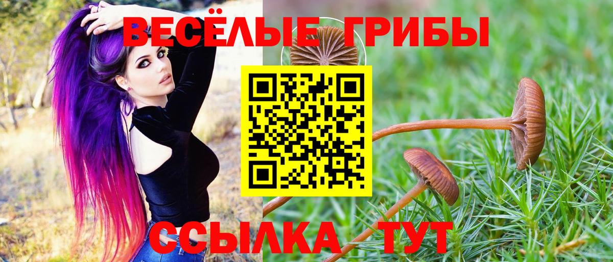 Ялуторовск  Галлюциногенные грибы прущие грибы  Вход с VPN 